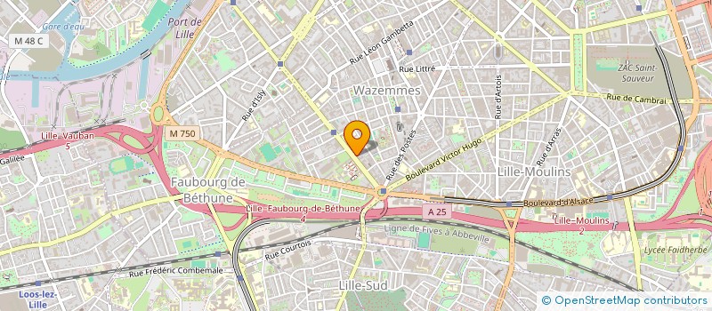 localisation de l'entreprise MELTING à LILLE