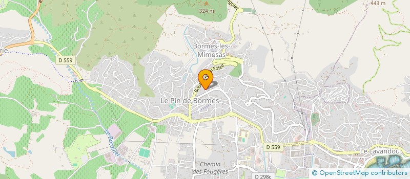 localisation de l'entreprise MEMOREE  BORMES-LES-MIMOSAS