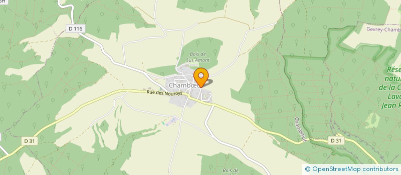 localisation de l'entreprise MENDI HOLDING  CHAMBUF