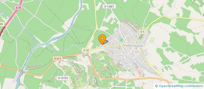 localisation de l'entreprise MENELLI  MONTAGNAC