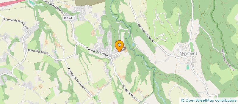 localisation de l'entreprise MENIRI HOLDING  CHATUZANGE-LE-GOUBET