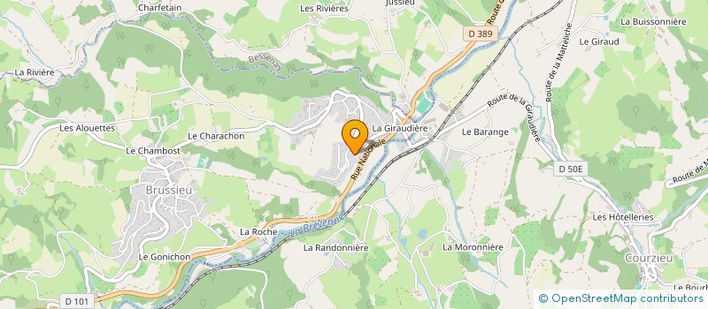 localisation de l'entreprise MENUISERIE CHARPENTE CARADOT FRERES SARL à COURZIEU