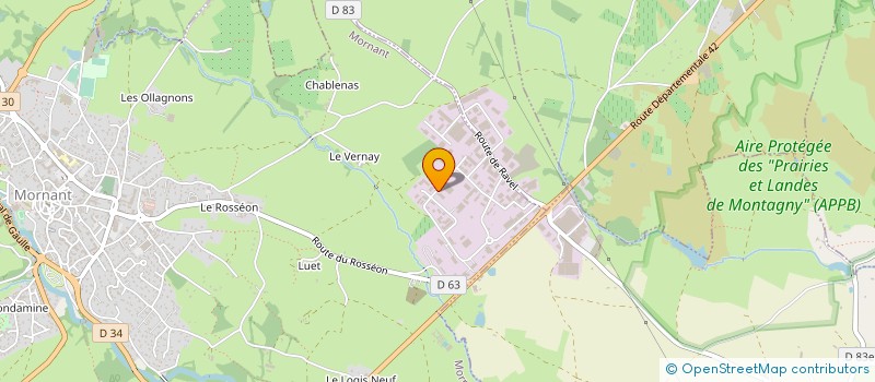 localisation de l'entreprise MENUISERIE MEJEAN  MORNANT