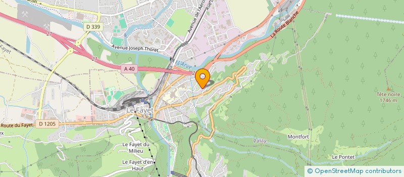 localisation de l'entreprise MENUISERIE PRO ALPINE  PASSY