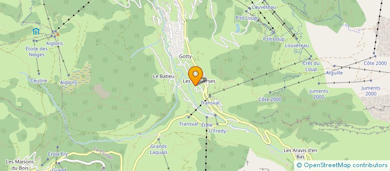 localisation de l'entreprise MENUISERIE SUIZE à LA CLUSAZ