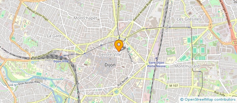 localisation de l'entreprise MENURE  DIJON