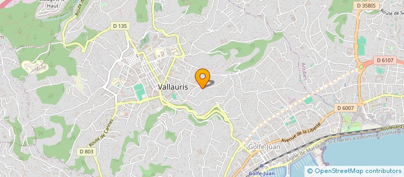 localisation de l'entreprise MERCI PLANY à VALLAURIS