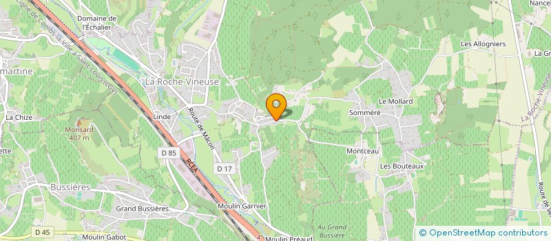localisation de l'entreprise MERLIN à LA ROCHE-VINEUSE
