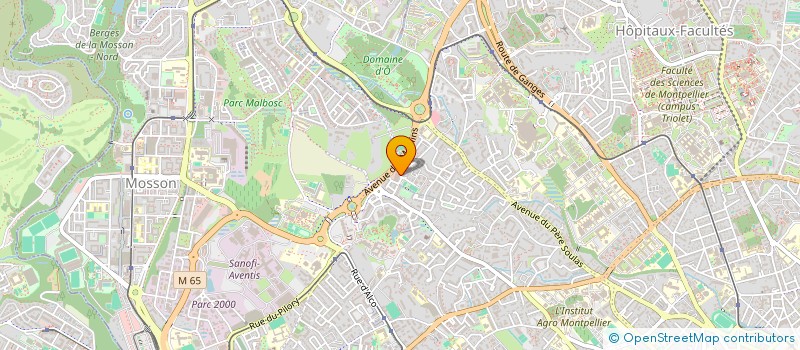localisation de l'entreprise MERZOUGA à MONTPELLIER