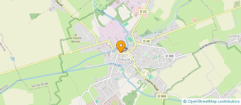 localisation de l'entreprise MESANGES BLEUES DES AILES A VOTRE SERVICE à DIEUZE