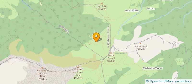 localisation de l'entreprise MESSAGERIE DE HAUTE SAVOIE  LA ROCHE-SUR-FORON