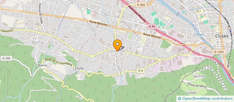 localisation de l'entreprise METIERS D'ART DES SAVOIE  SCIONZIER