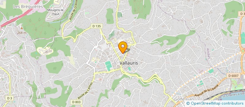 localisation de l'entreprise METLINE ELEC à VALLAURIS