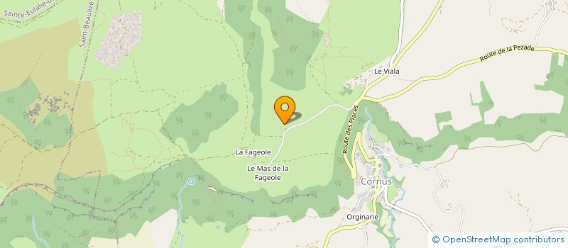 localisation de l'entreprise MF FAGEOLE  CORNUS