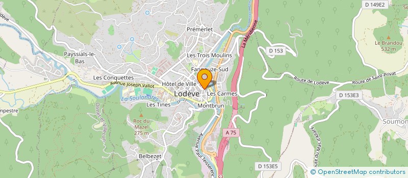 localisation de l'entreprise MF MARKET  LODEVE