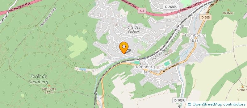 localisation de l'entreprise MG CONCEPT à HOMBOURG-HAUT