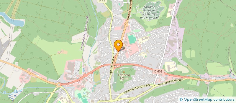 localisation de l'entreprise MG IMMOS  SAINT-AVOLD