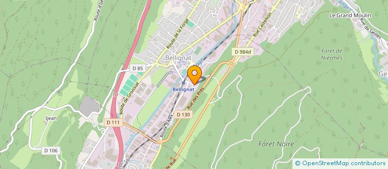 localisation de l'entreprise MG2  BELLIGNAT