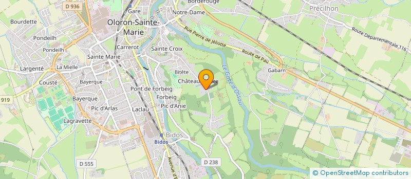 localisation de l'entreprise MGO à OLORON-SAINTE-MARIE