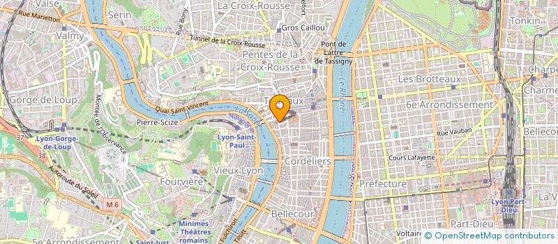 localisation de l'entreprise MI MOTS ARTS à LYON