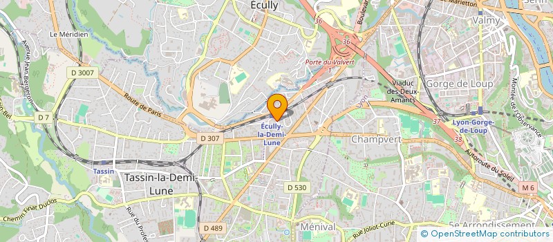 localisation de l'entreprise MIC PARTICIPATION  TASSIN-LA-DEMI-LUNE