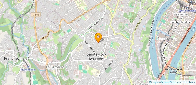 localisation de l'entreprise MICHAEL ESCOFFIER  SAINTE-FOY-LES-LYON