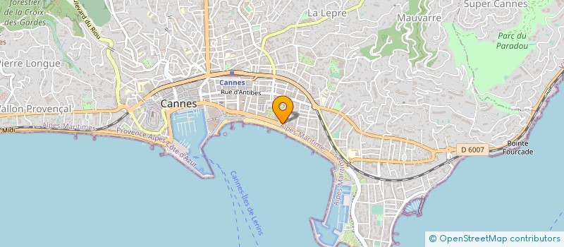 localisation de l'entreprise MICHAEL ZINGRAF REAL ESTATE à CANNES