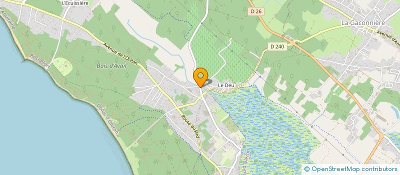 localisation de l'entreprise MICHAELANGE  DOLUS-D'OLERON