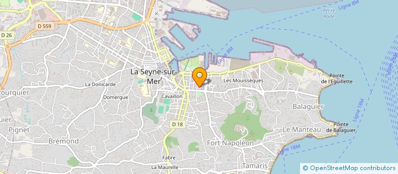 localisation de l'entreprise MICHALLON-CAVALLIER INDIVISION à LA SEYNE-SUR-MER