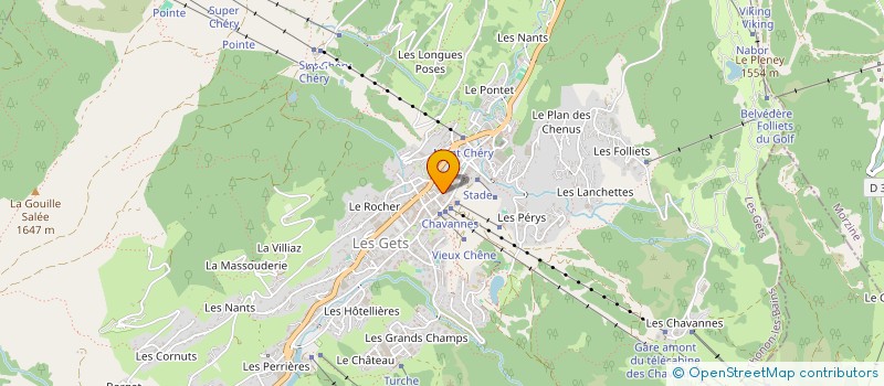 localisation de l'entreprise MICHAUD SPORTS à LES GETS