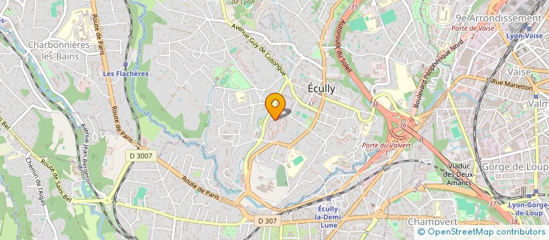 localisation de l'entreprise MICHEL ALLARD CONSULTANTS  ECULLY