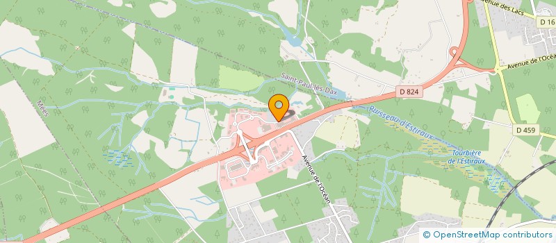 localisation de l'entreprise MICHEL ANGE  MEES