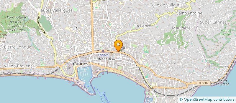 localisation de l'entreprise MICHEL-ANGE  CANNES