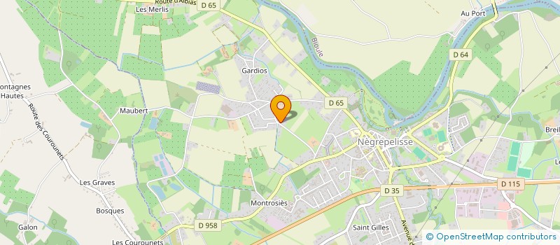 localisation de l'entreprise MICHEL DELCOL 82  NEGREPELISSE