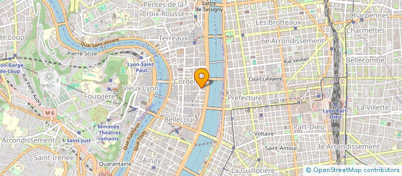 localisation de l'entreprise MICHEL FRAISSE GESTION ET INVESTISSEMENT à LYON