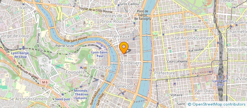 localisation de l'entreprise MICHEL LOPEZ CONSULTANTS  LYON