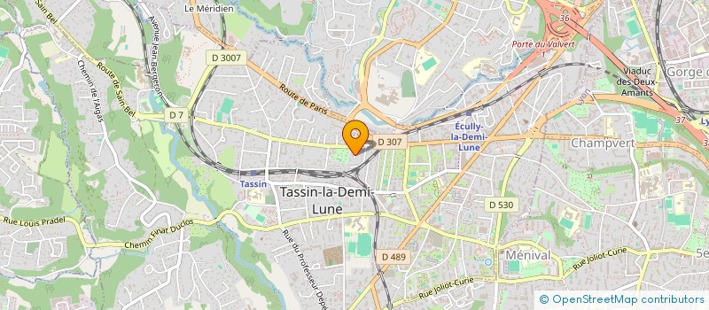 localisation de l'entreprise MICHEL MARC  TASSIN-LA-DEMI-LUNE