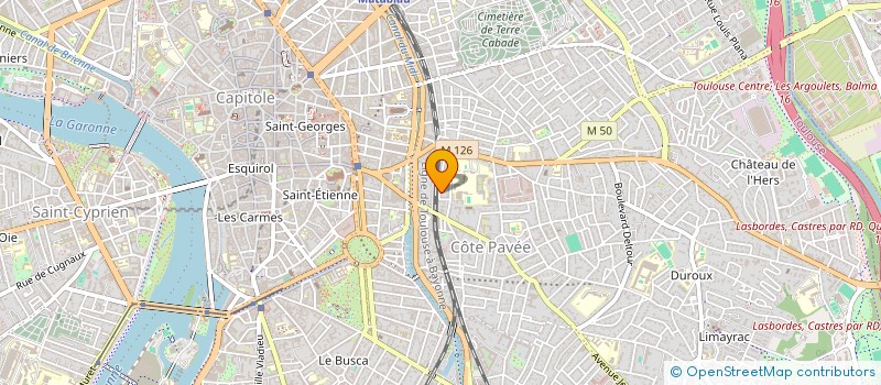localisation de l'entreprise MICHEL NICODEME à TOULOUSE