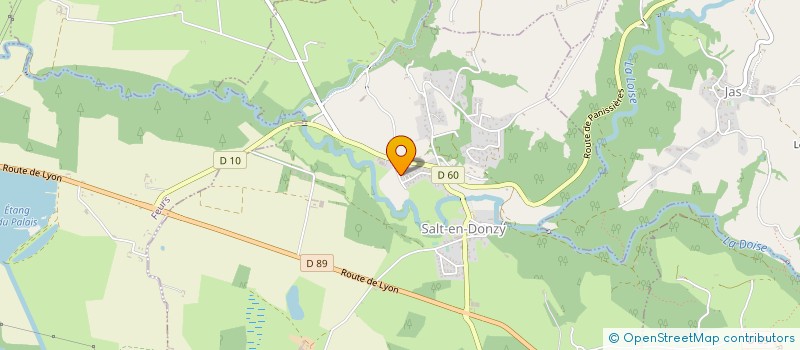 localisation de l'entreprise MICHEL THIOLLIER  PONCINS