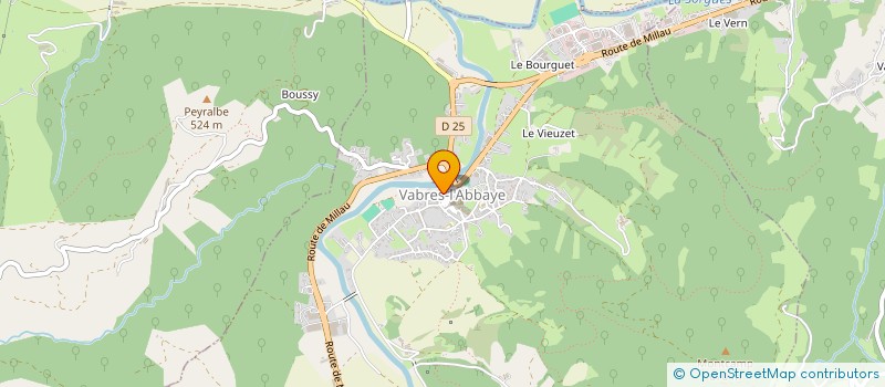 localisation de l'entreprise MICHEL VERNAT DEVELOPPEMENT  VABRES-L'ABBAYE