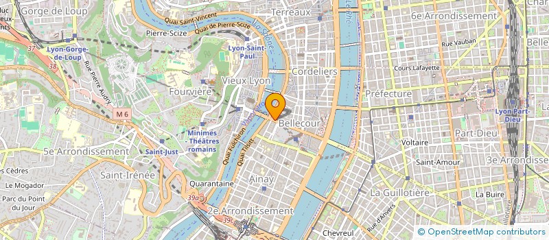 localisation de l'entreprise MICHELE MARS  LYON