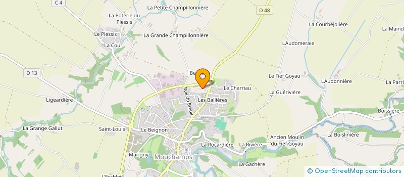 localisation de l'entreprise MICHENAUD PIERRE  MOUCHAMPS