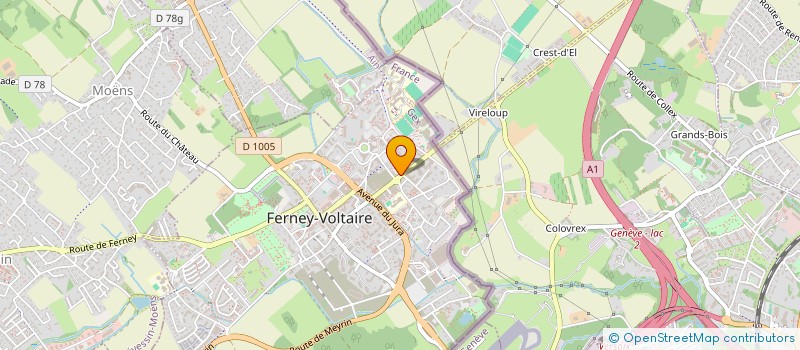 localisation de l'entreprise MICHON J ET L à FERNEY-VOLTAIRE