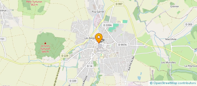 localisation de l'entreprise MICK'ALINE  BILLOM