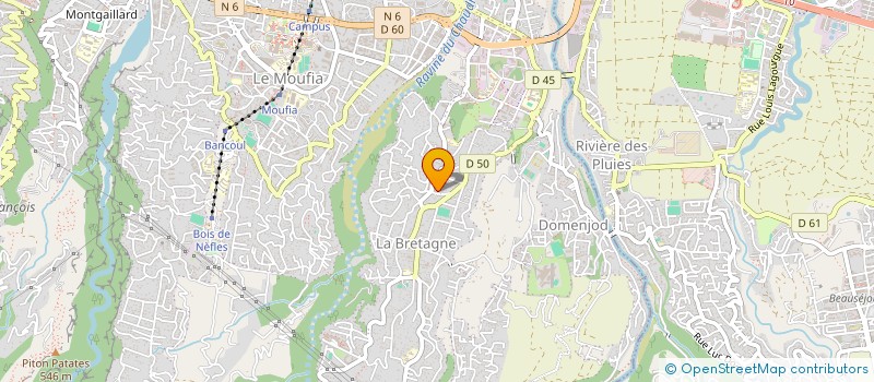 localisation de l'entreprise MICRO-CRECHE LES P'TITS BRETONS à SAINT-DENIS