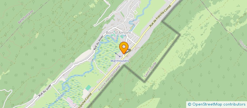 localisation de l'entreprise MICRO CRECHE LES PETITS BOISSELIERS  BOIS-D'AMONT