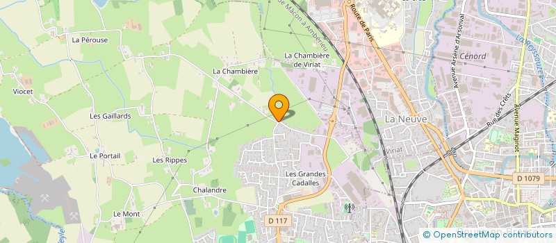 localisation de l'entreprise MICRO-CRECHE PAS A PAS à SAINT-DENIS-LES-BOURG