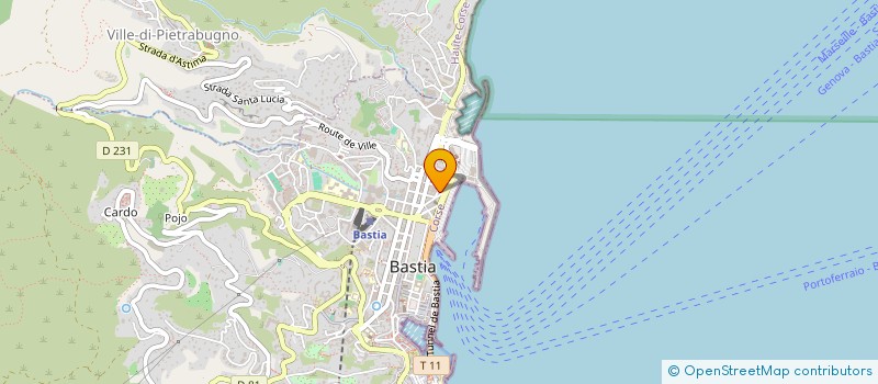 localisation de l'entreprise MICRO EXTEN DISTR INFORM APPLI COMMUNICA à BASTIA
