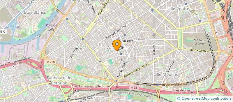 localisation de l'entreprise MICRO-GSM à LILLE