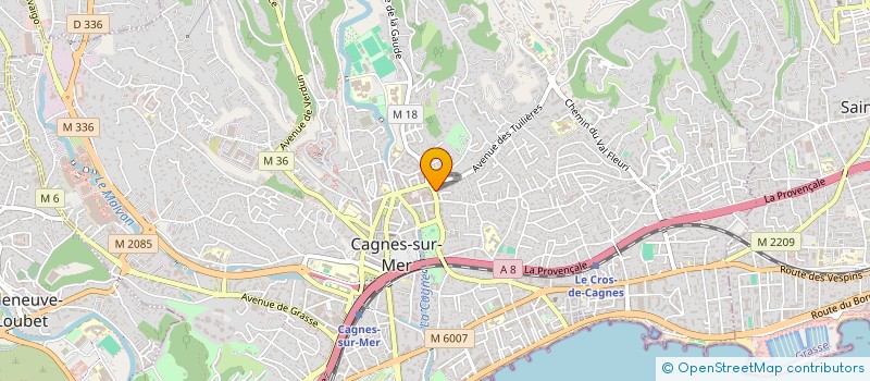 localisation de l'entreprise MICRO MAILING SERVICE à CAGNES-SUR-MER